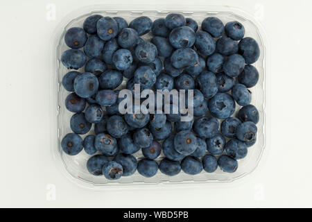 Frische Blaubeeren in durchsichtigen Verpackungen auf weißem Hintergrund Stockfoto