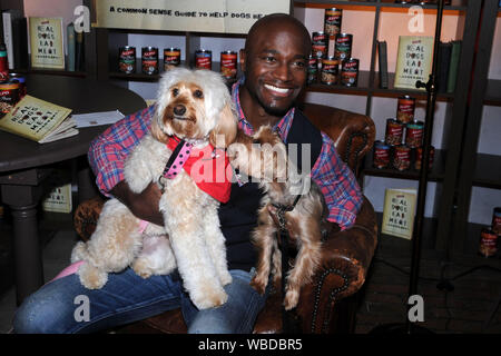 NEW YORK - 19. Mai: Taye Diggs liest ein Buch lesen Veranstaltung in Manhattans Meatpacking District, Schauspieler und Hundebesitzer Taye Diggs Gemeinschafts-tails aus dem neu veröffentlichten ALPO 'echten Hunde fressen Fleisch 'Handbuch mit einem Publikum von echten Hunde im Chelsea Market am 19. Mai 2010 in New York City. Personen: Taye Diggs Stockfoto