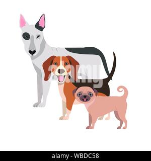 Eingestellt von adorable Hunde auf weißem Hintergrund Stock Vektor