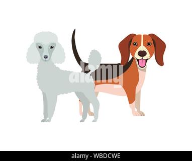 Nett und adorable Hunde auf weißem Hintergrund Stock Vektor