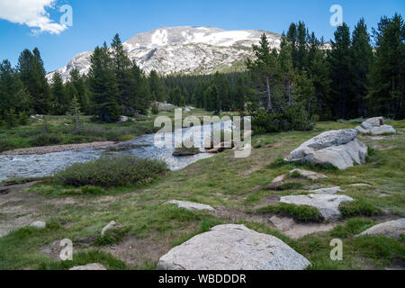 Dana Fork River im Yosemite National Park an einem sonnigen Sommertag aus der Tioga Pass Road Stockfoto