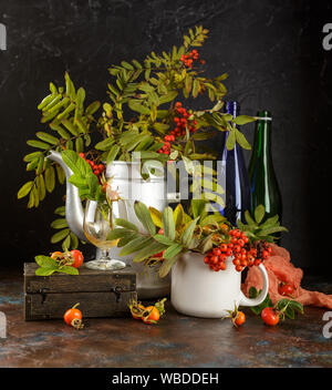 Rowan Niederlassungen in Metall alte Kaffeekanne und in Schale und dogrose Beeren auf dunklem Hintergrund Stockfoto