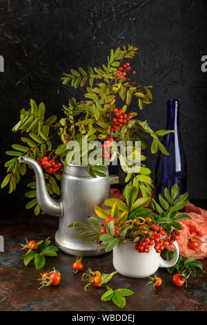 Rowan Niederlassungen in Metall alte Kaffeekanne und in Schale und dogrose Beeren auf dunklem Hintergrund Stockfoto