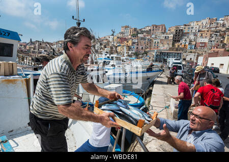 Fische, die von einem Fischerboot im Hafen Sciacca in Sizilien Southerm entladen wird. Stockfoto