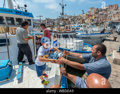 Fische, die von einem Fischerboot im Hafen Sciacca in Sizilien Southerm entladen wird. Stockfoto