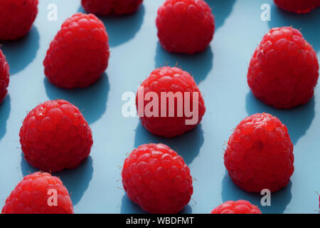 Nahaufnahme von roten raspsberry in einem blauen Platte Stockfoto