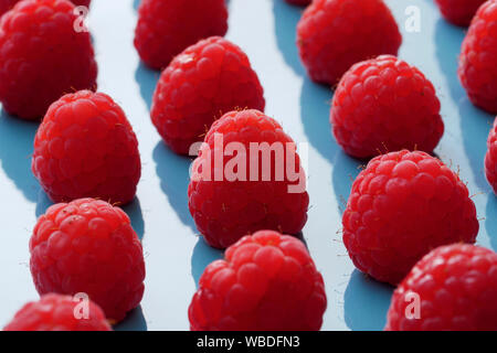 Nahaufnahme von roten raspsberry in einem blauen Platte Stockfoto