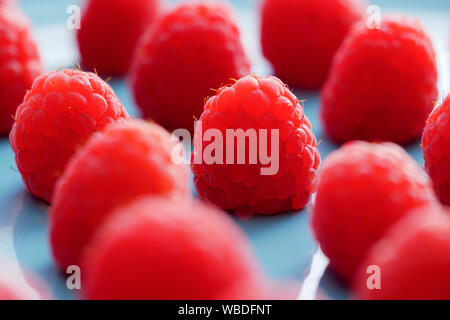 Nahaufnahme von roten raspsberry in einem blauen Platte Stockfoto