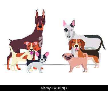 Eingestellt von adorable Hunde auf weißem Hintergrund Stock Vektor