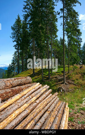 Gestapelte Protokolle in Val d'Ultimo (Ultental), Bozen, Trentino Alto Adige, Italien Stockfoto