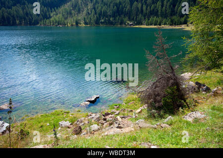 See Fontana Bianca ((Weissbrunn sehen) in Val d'Ultimo (Ultental), Bozen, Trentino Alto Adige, Italien Stockfoto