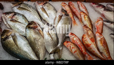 Closeup frisch vergoldeten Kopf Brassen und gestreifte Rotbarben auf Eis für Verkauf an den Fischmarkt Stockfoto