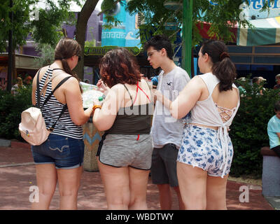 Teens prüfen Park machen in Busch Gardens Tampa, USA, Juni 20, 2019, © katharine Andriotis Stockfoto