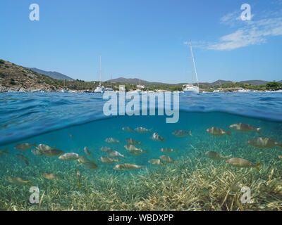 Spanien Costa Brava Cadaques, Boote in der Bucht von Portlligat günstig mit Fisch und Seegras Unterwasser, Mittelmeer, geteilte Ansicht oberhalb und unterhalb der Oberfläche Stockfoto