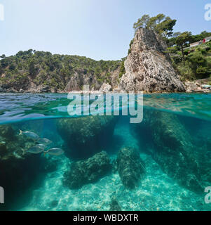 Spanien felsigen Küste mit Felsen und Fisch unter Wasser in der Nähe von Calella de Palafrugell, Costa Brava, Katalonien, Mittelmeer Stockfoto