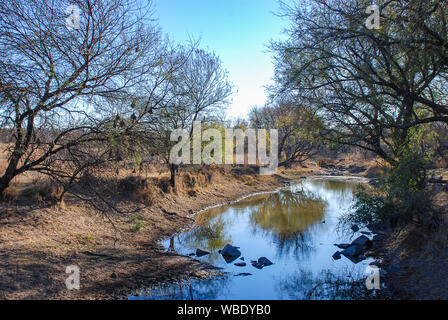 Die Landschaft der Waterberg in der Limpopo Provinz, Südafrika Stockfoto