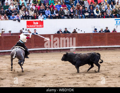 Ambato, Ecuador - Mar 15, 2015 - Stierkämpfer zu Pferd Duelle mit Stier während Karneval Stockfoto
