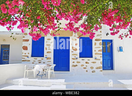 Traditionelle Yard mit Bougainvillea bei Ano Insel Koufonisi Kykladen Griechenland Stockfoto