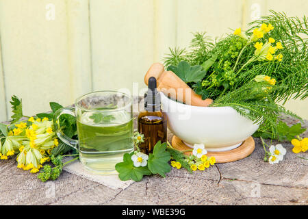 Blick von oben auf die verschiedenen wilde Kräuter Heilpflanzen auf hölzernen Tisch versammelt (Alchemilla Vulgaris, der gemeinsamen Dame Mantel, Primula Veris, Schafgarbe, gemeinsame Stockfoto