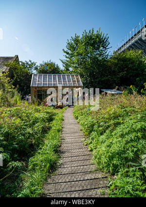 Edinburgh, Schottland. Sun, 25 August 2019. Schottische Musiker Alasdair Roberts führt im Palmenhaus in der Johnston Terrasse Garten am letzten Tag des 2019 in Edinburgh Art Festival. Stockfoto