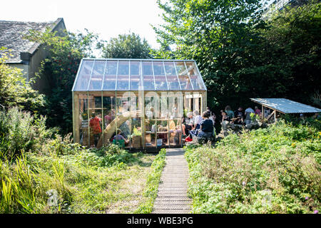 Edinburgh, Schottland. Sun, 25 August 2019. Schottische Musiker Alasdair Roberts führt im Palmenhaus in der Johnston Terrasse Garten am letzten Tag des 2019 in Edinburgh Art Festival. Stockfoto