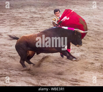 Ambato, Ecuador - Mar 15, 2015 - Stierkämpfer zu Fuß Duelle mit Stier während Karneval Stockfoto