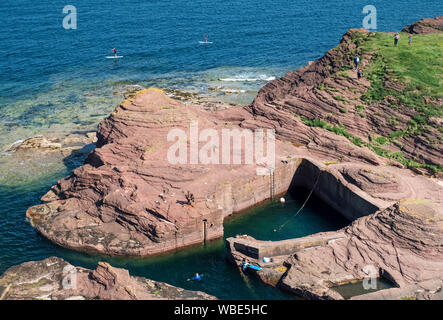 Paddel boarder Paddel um seacliff Hafen bei Seacliff Estate, East Lothian, Schottland Stockfoto