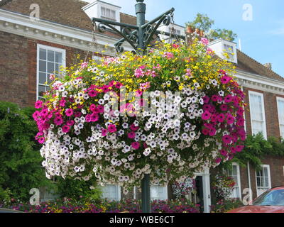 Eine große, bunte hängend - Korb voller Sommerblumen hängt von einer Lampe - Post in Oxfordshire Stadt Henley-on-Thames Stockfoto