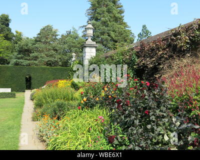 Helle Farben für die Bepflanzung in einem der Sommer Grenzen in die Gärten von Cliveden, ein National Trust property in Buckinghamshire zu besuchen. Stockfoto