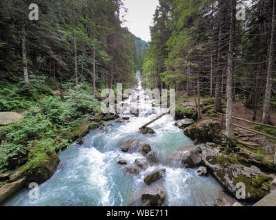 Schnell fließenden Dampf in den italienischen Alpen. Stockfoto