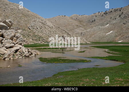 Mit dem Abschmelzen des Schnees in Hochebenen, Natur lebendig wird. subaşı Plateau in elmali Antalya Türkei Stockfoto