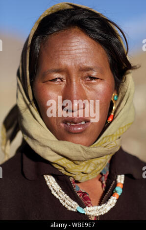 Nomadische Frau in die Höhe Hochplateau Changtang des Himalaya Ladakh Stockfoto