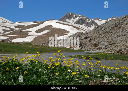 Mit dem Abschmelzen des Schnees in Hochebenen, Natur lebendig wird. subaşı Plateau in elmali Antalya Türkei Stockfoto