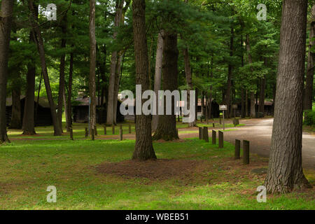 Blockhäuser im Wald. Weiße Kiefern Wald State Park, Illinois, USA Stockfoto