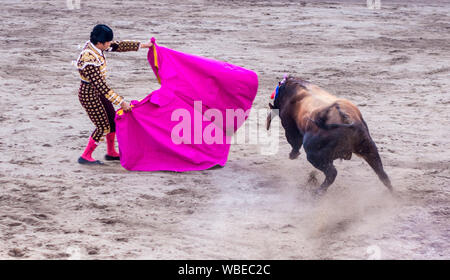 Ambato, Ecuador - Mar 15, 2015 - Stierkämpfer zu Fuß Duelle mit Stier während Karneval Stockfoto