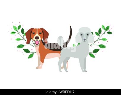 Nett und adorable Hunde auf weißem Hintergrund Stock Vektor