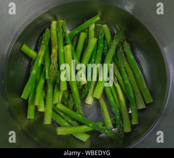 Frische grüne Garten Spargel (Asparagus officinalis) in einem Aluminiumtopf, Baden-Württemberg, Deutschland Stockfoto