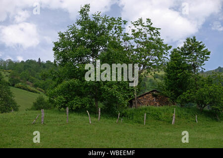 Die östliche Schwarzmeerregion hat immer Wanderer mit seiner natürlichen Schönheit angezogen. Stockfoto