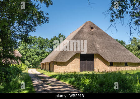 Bokrijk, Belgien - 27 Juni, 2019: Riesige Scheune mit grauen Strohdach ist in Grün der Wiese gesetzt und die umliegenden Bäume unter blauen Himmel. Stockfoto