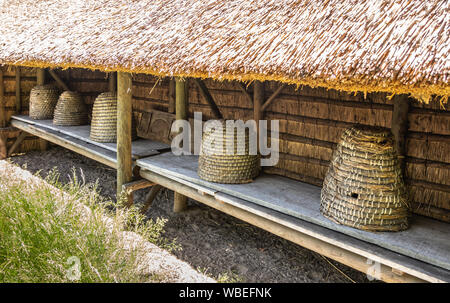 Bokrijk, Belgien - 27 Juni, 2019: Leitung der klassischen großen gelblich-braun Stroh Bienenstöcke unter der Markise. Stockfoto