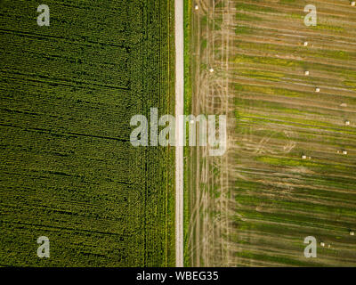 Von oben nach unten Luftbild von zwei landwirtschaftliche Felder - Mais und Heu mit Rollen Stockfoto