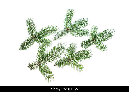 Kreative Weihnachten Zusammensetzung aus grünem Tannenbaum Äste auf weißem Hintergrund, isoliert. Stockfoto