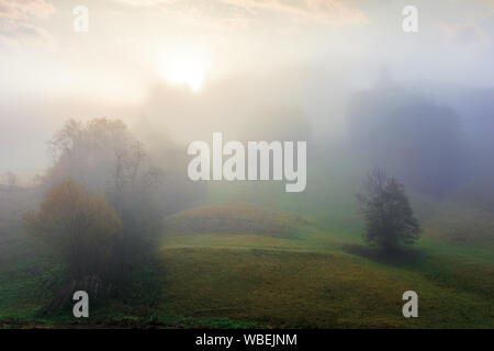 Dichter Nebel im Herbst Landschaft. Bäume auf Hügeln im ländlichen Raum. Sonnenlicht bricht durch. geheimnisvolle Wetter Phänomen Stockfoto