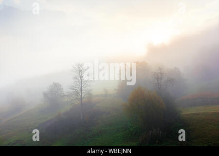 Dichter Nebel im Herbst Landschaft. Bäume auf Hügeln im ländlichen Raum. Sonnenlicht bricht durch. geheimnisvolle Wetter Phänomen Stockfoto