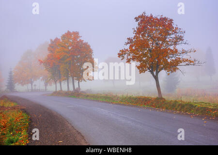 Straße windet sich durch Nebel im Herbst. schönen Herbst Landschaft mit Bäumen im buntes Laub. erstaunlich Oktober Wetter am Morgen. Stockfoto