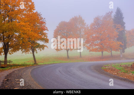 Straße windet sich durch Nebel im Herbst. schönen Herbst Landschaft mit Bäumen im buntes Laub. erstaunlich Oktober Wetter am Morgen. Stockfoto