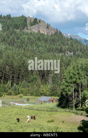 Pferde und Garten am Minam River Lodge in Oregon Wallowa Mountains. Stockfoto