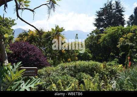 BOGOTA, KOLUMBIEN - 25. JANUAR 2014: Gärten an der Spitze von Monserrate. Stockfoto