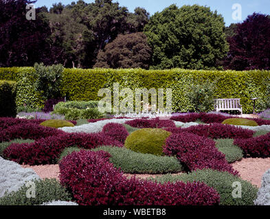 Garten in Filoli, ein Landgut südlich von San Francisco, von der National Trust für Denkmalpflege, Woodside, Kalifornien im Besitz Stockfoto