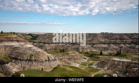 Horseshoe Canyon in Alberta Badlands. Stockfoto